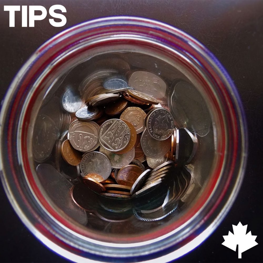 Support TURNIP STYLE